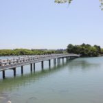 大濠公園　観月橋