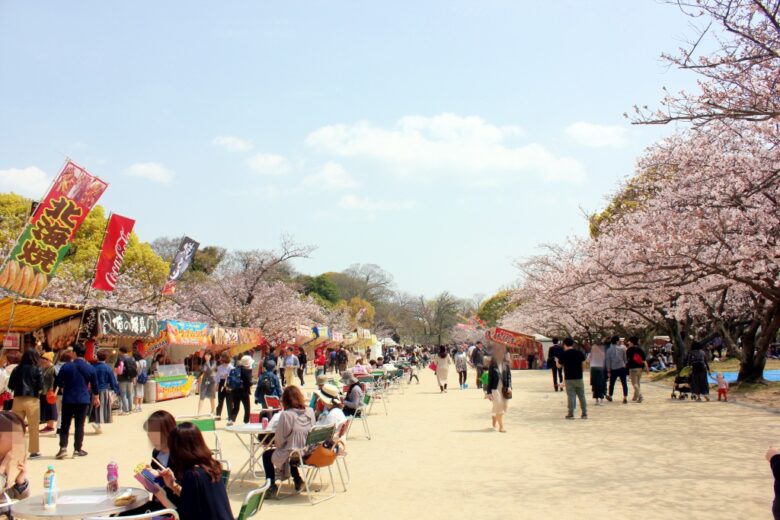 福岡の桜