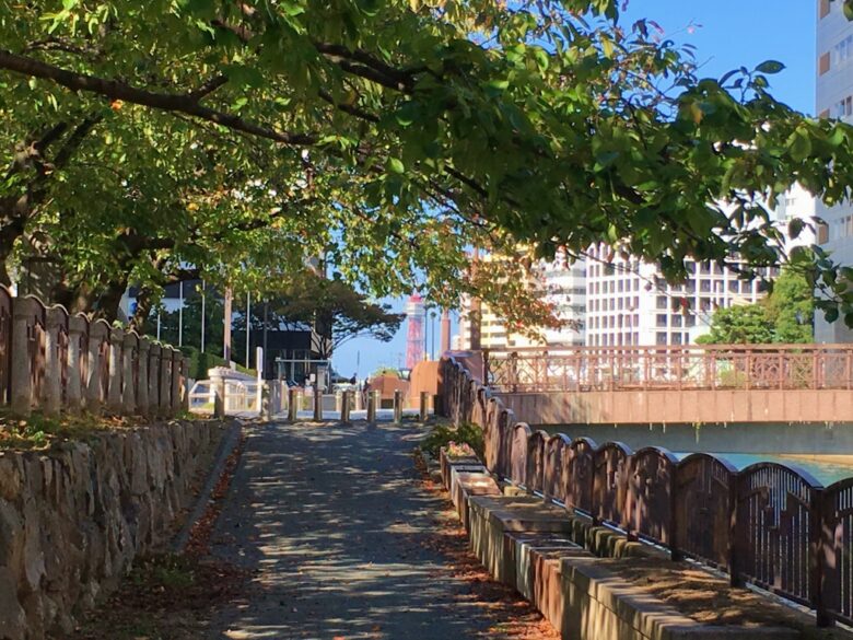 福岡から東京タワー