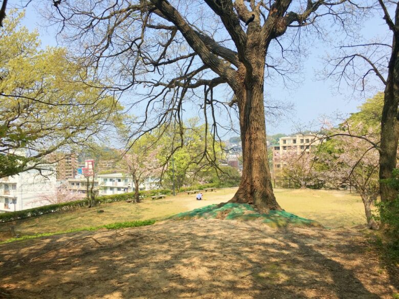 平和中央公園