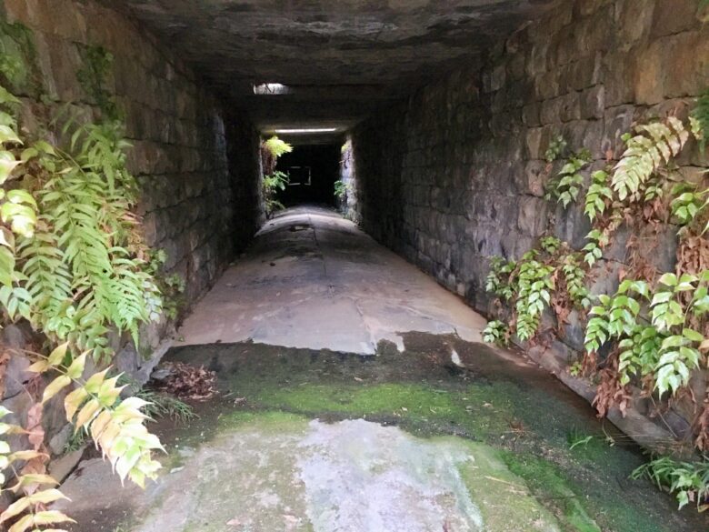 桜町トンネル
