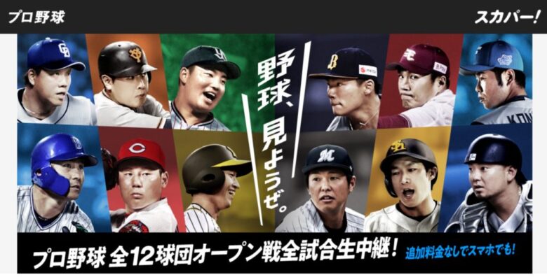 スカパー!プロ野球セット