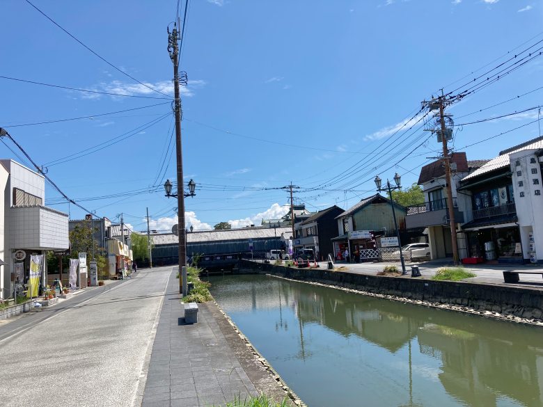 柳川 柳の木 伐採 福岡 柳川市